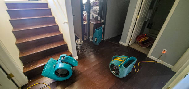 Best Flooded house restoration  in Honeyville, UT