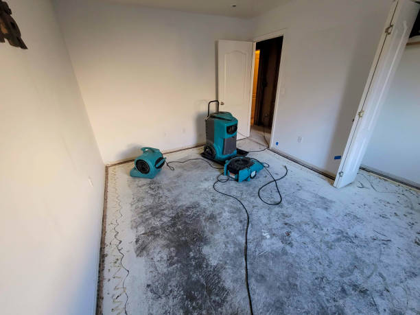 Best 24/7 water damage repair  in Honeyville, UT