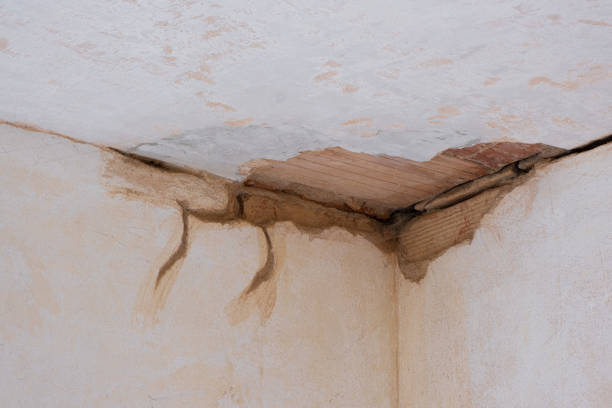 Best Water damage cleanup near me  in Honeyville, UT
