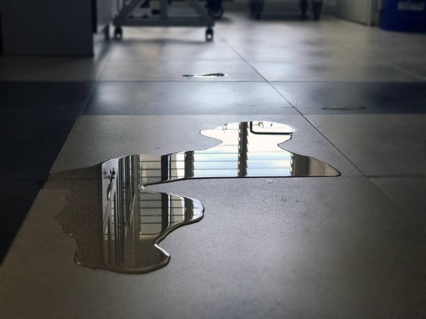 Water damage restoration experts in Honeyville, UT