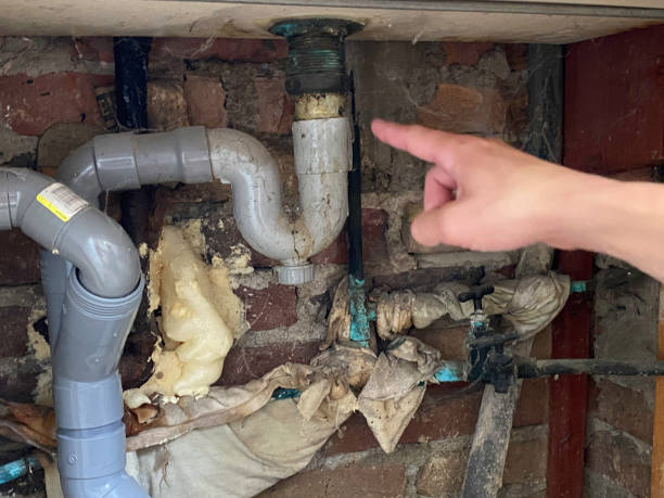Best Water damage restoration near me  in Honeyville, UT