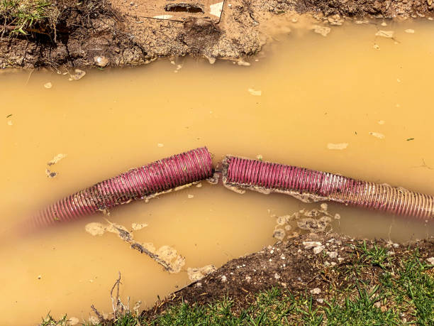 Best Sewage cleanup and water damage restoration  in Honeyville, UT