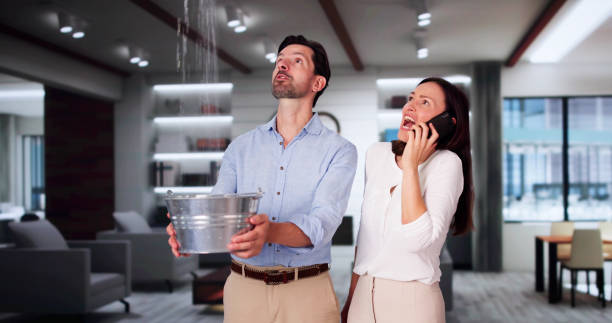 Best Carpet water damage restoration  in Honeyville, UT